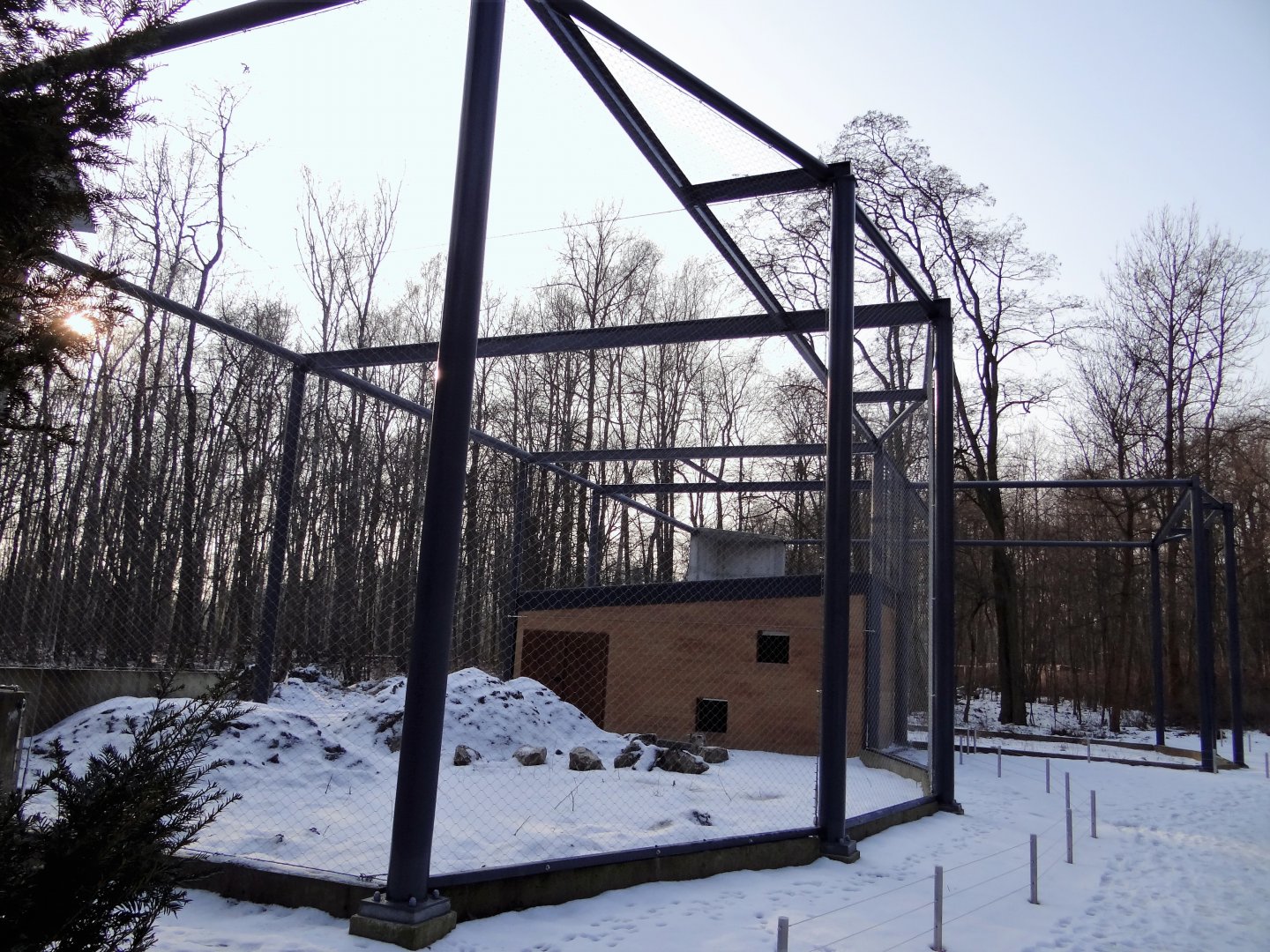 Owls aviaries under construction