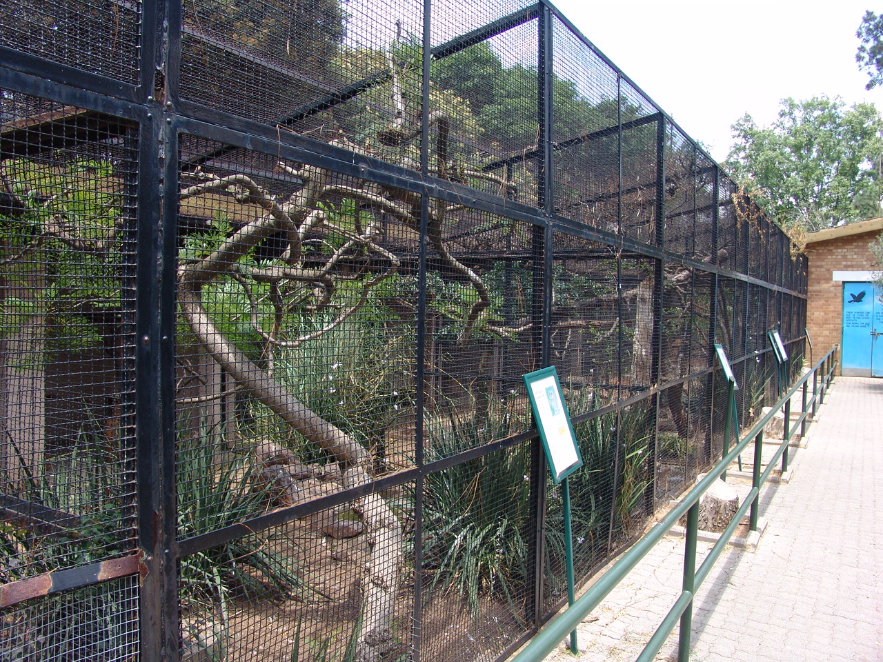 Owls' aviaries