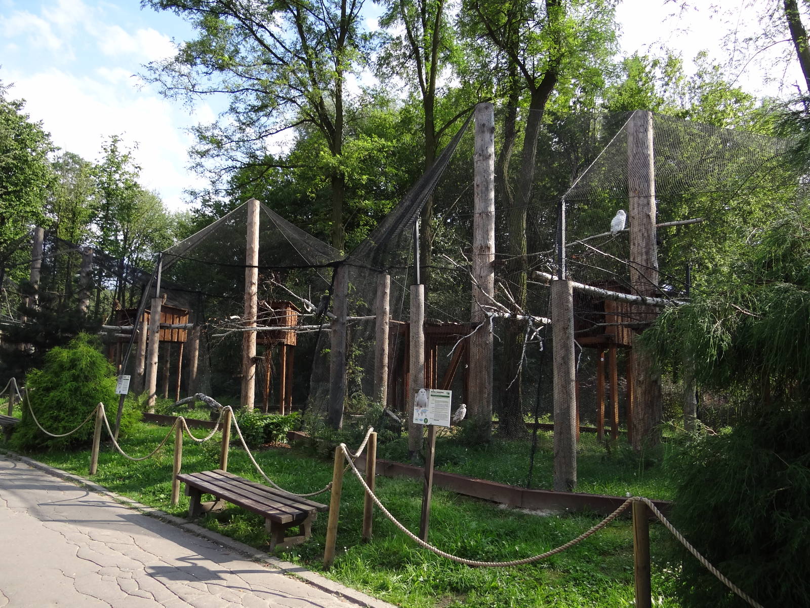 Owls aviaries
