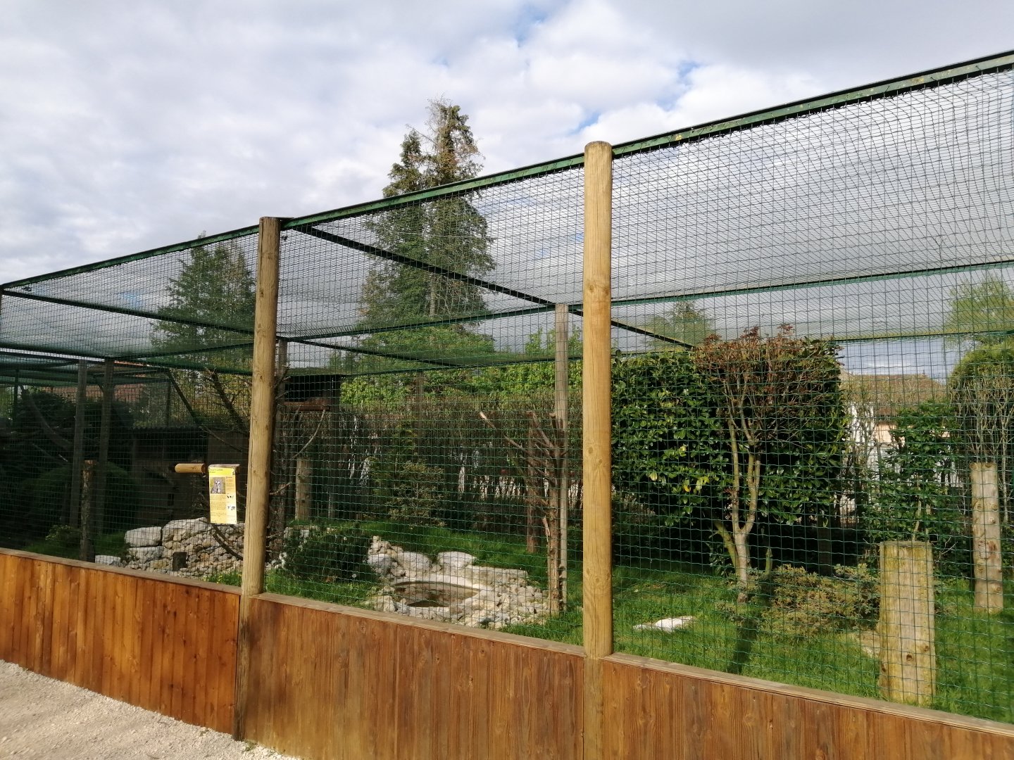 Owl's aviary example (Great Grey owl)