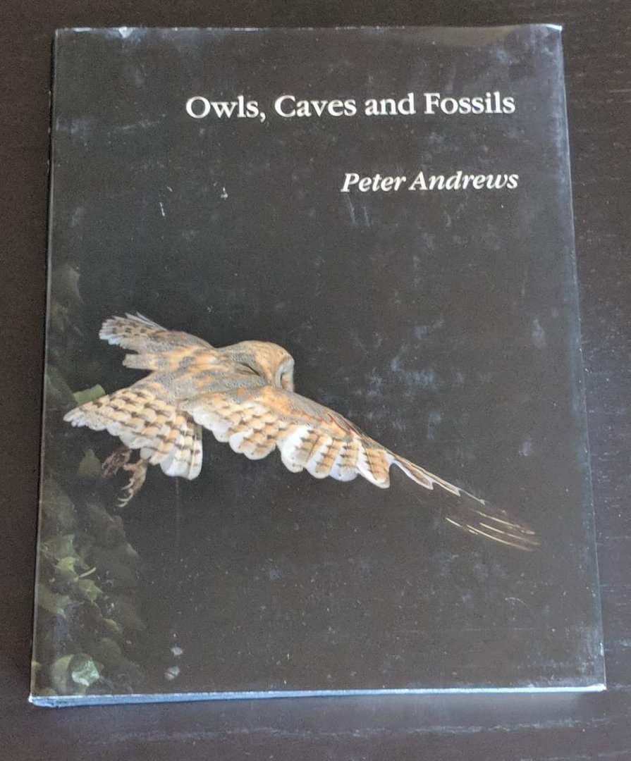 Owls, Caves and Fossils