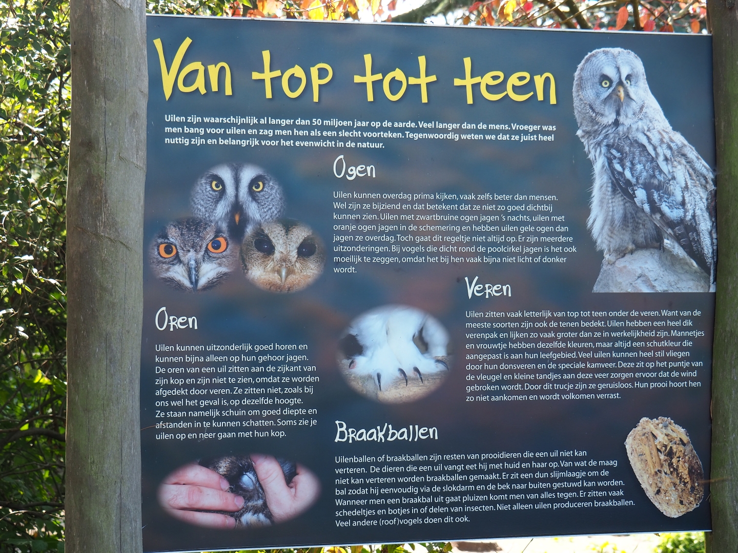 Owls education sign (Sep 2nd, 2018)