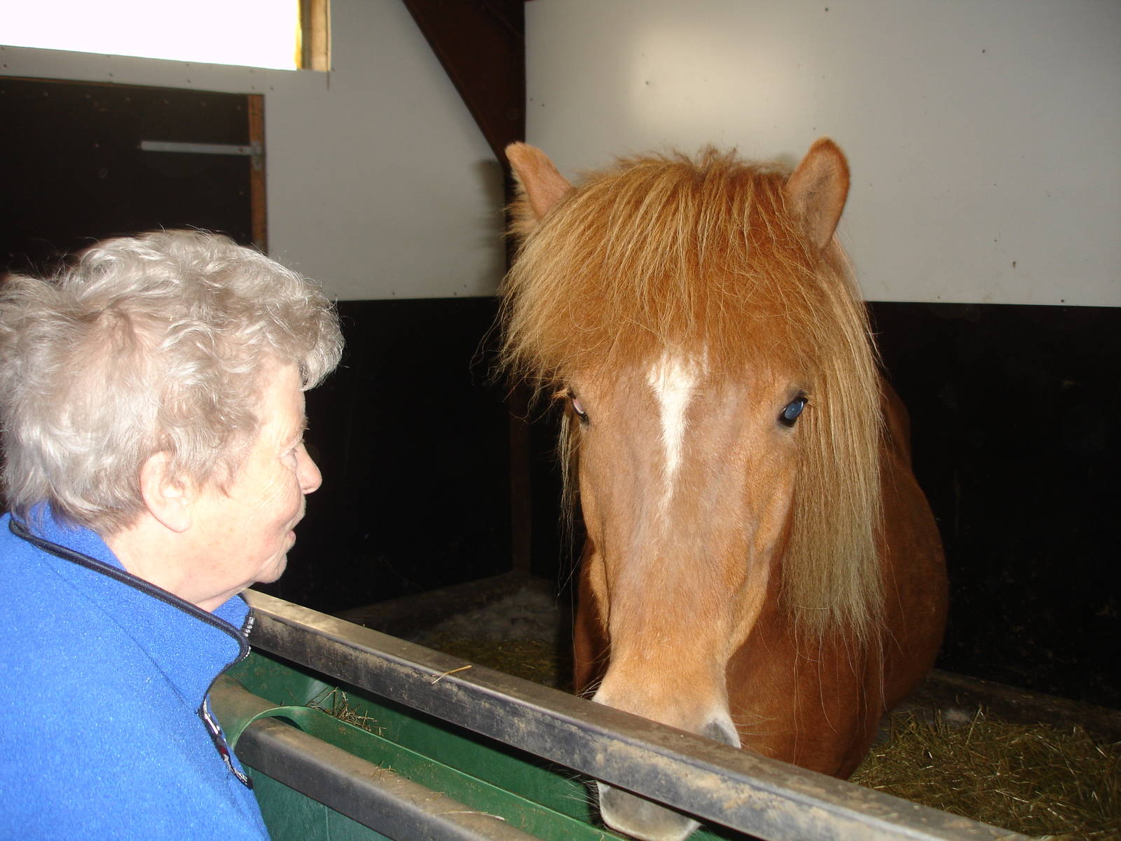 Owner and Horse