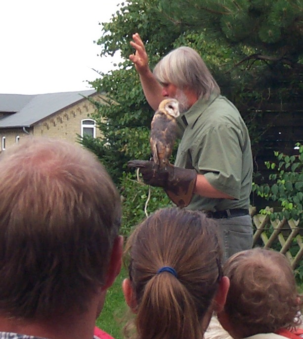 Owner with Barn owl