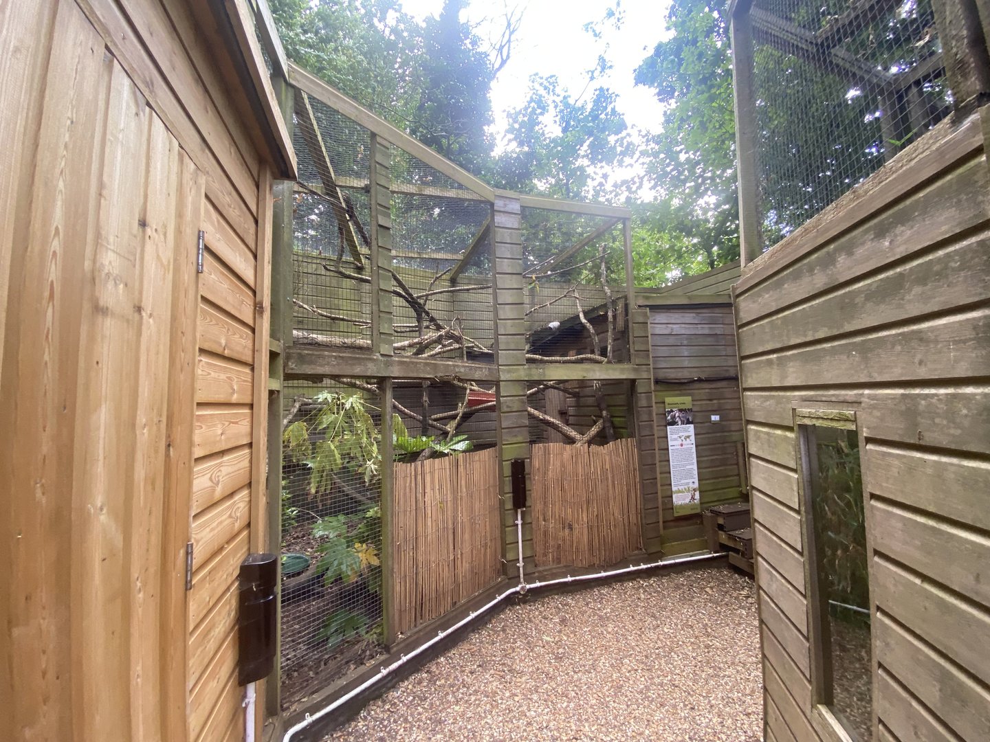 Owston’s palm civet enclosure 250623