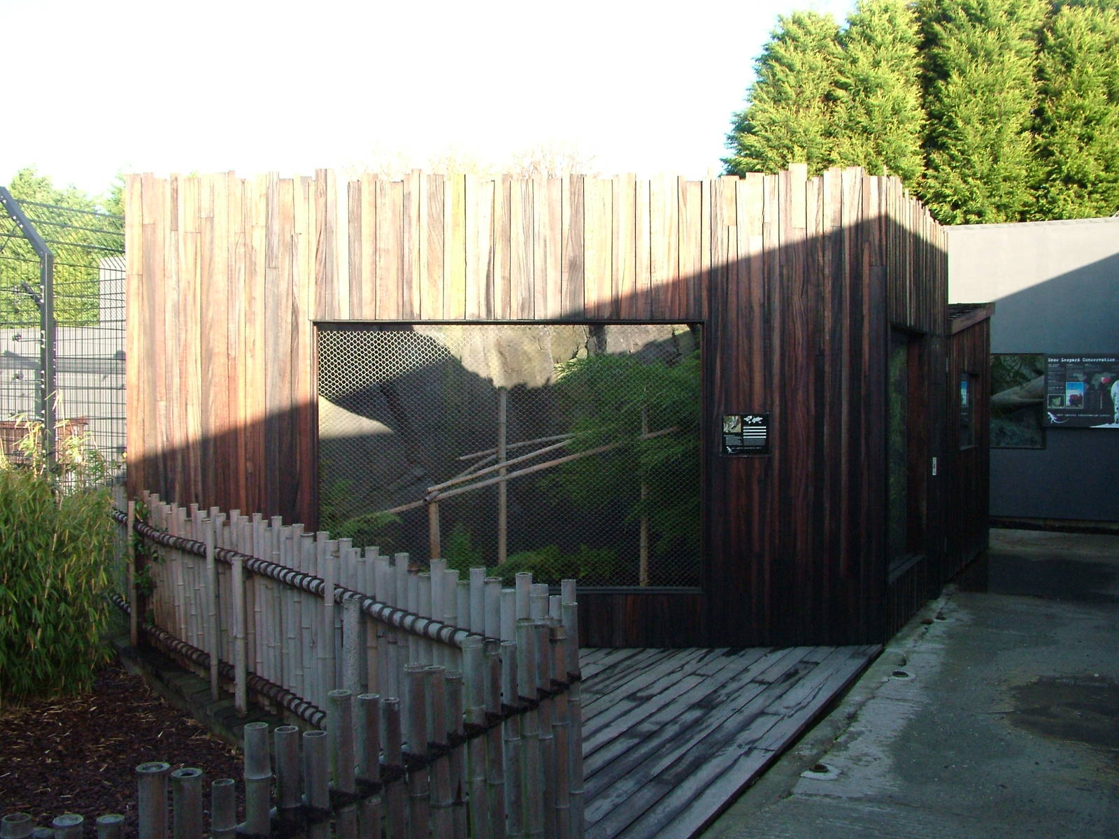 Owston's Palm Civet enclosure at the RSCC 28/11/09