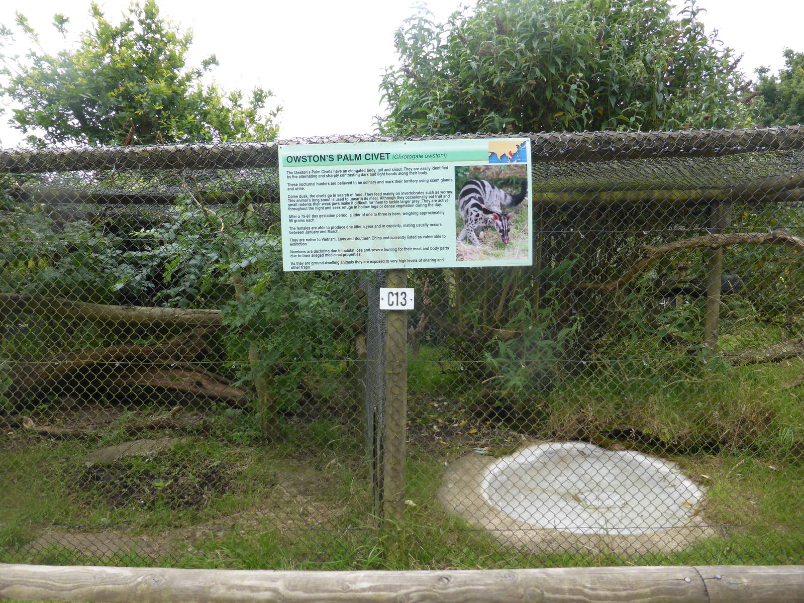 Owston's palm civet enclosures