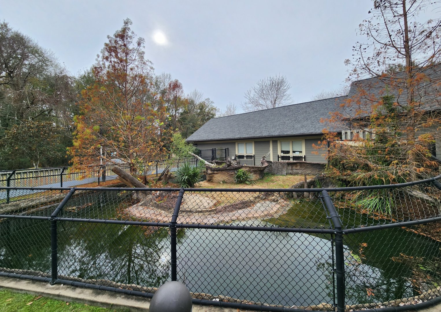 Oxbow Meadows ELC - American Alligator exhibit