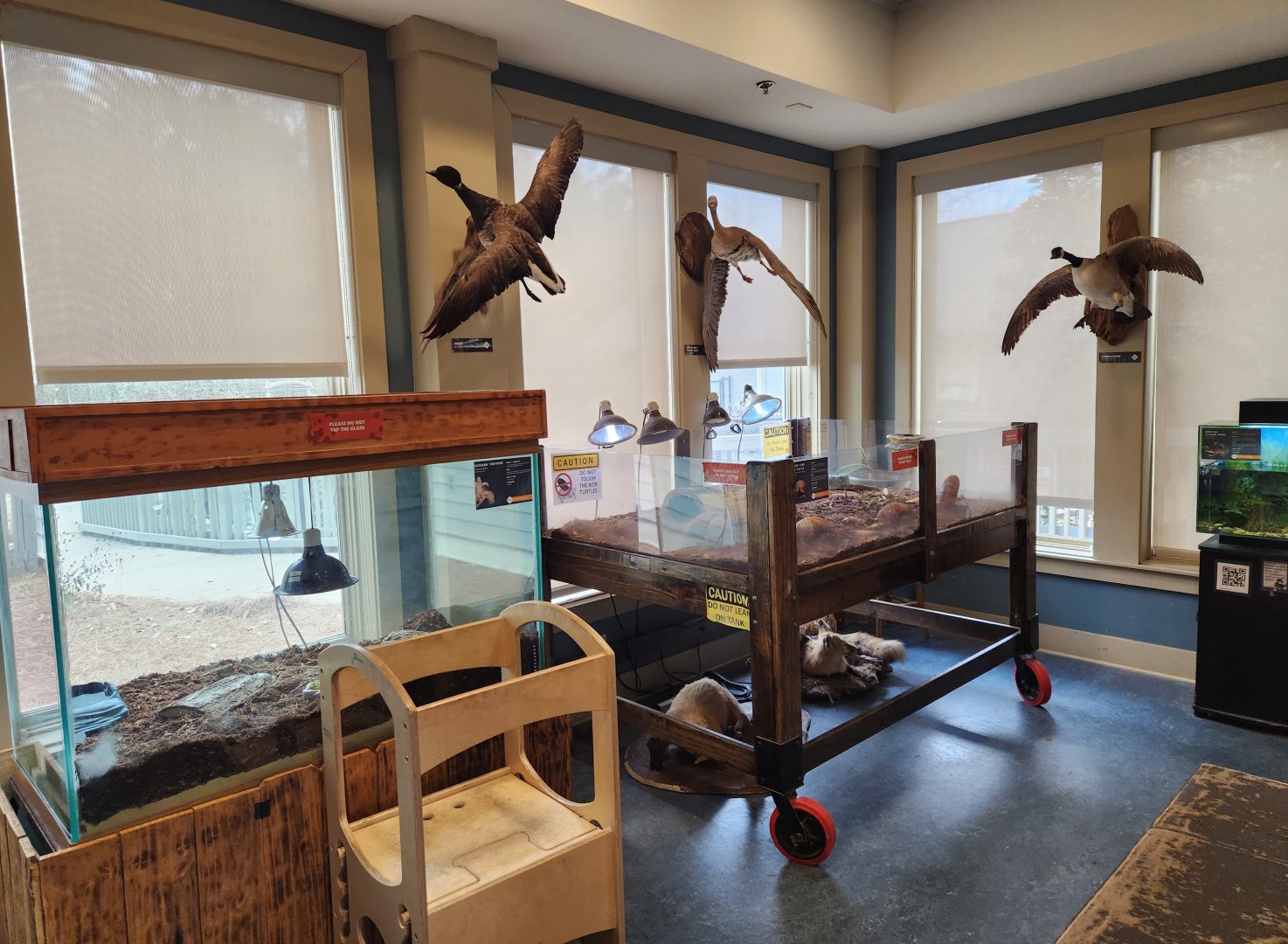 Oxbow Meadows ELC - Exhibits