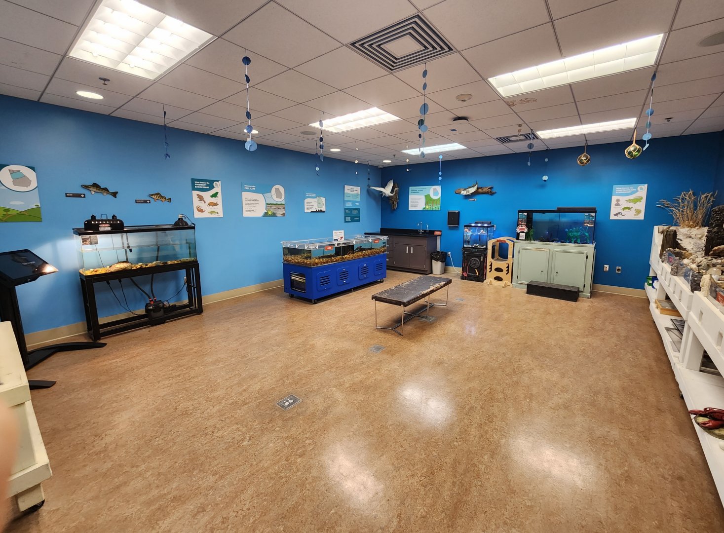 Oxbow Meadows ELC - Lab room