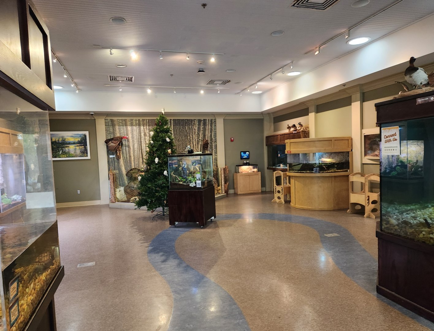 Oxbow Meadows ELC - Open exhibit area