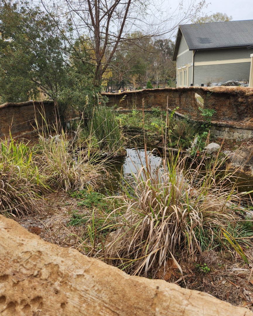 Oxbow Meadows ELC - Turtle pond exhibit