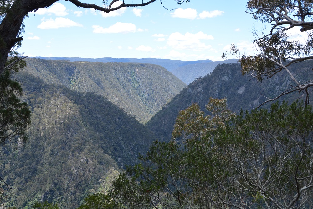 Oxley Wild Rivers National Park.  NSW
