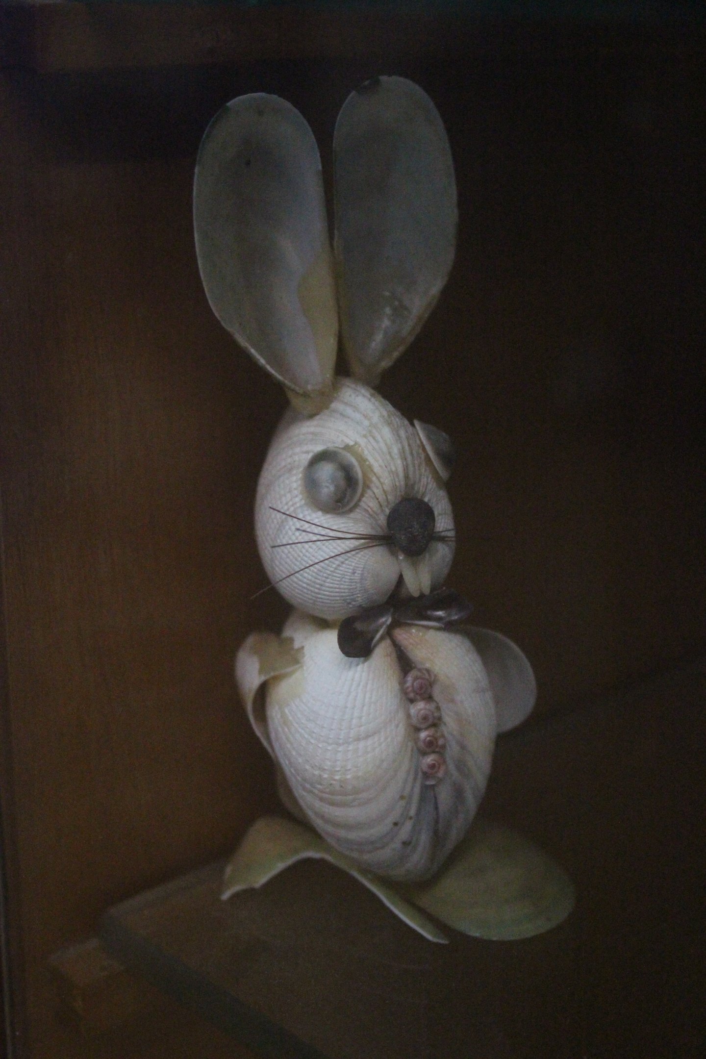 Oyster Bunny, Picton Heritage & Whaling Museum