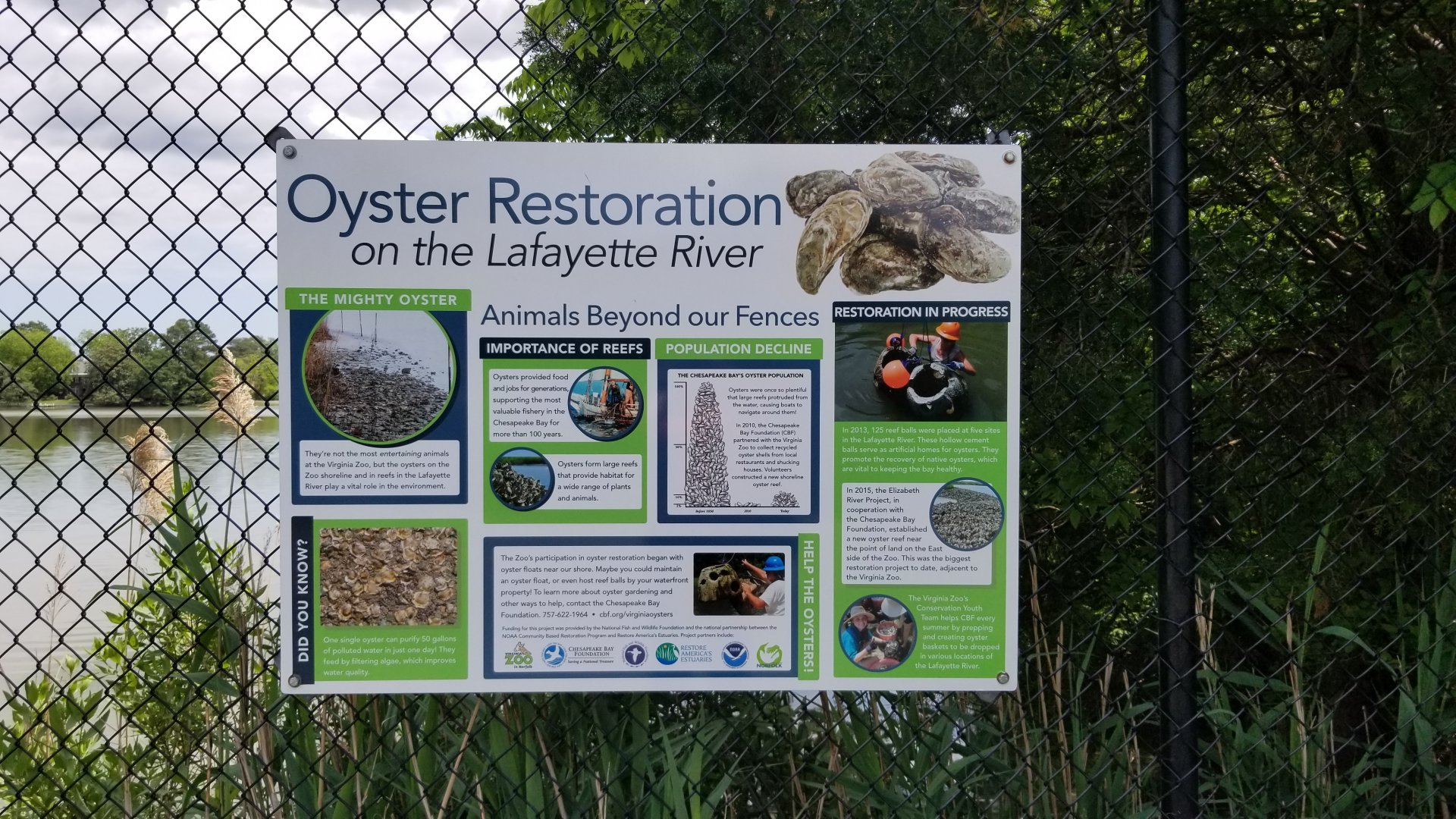 Oyster Restoration sign