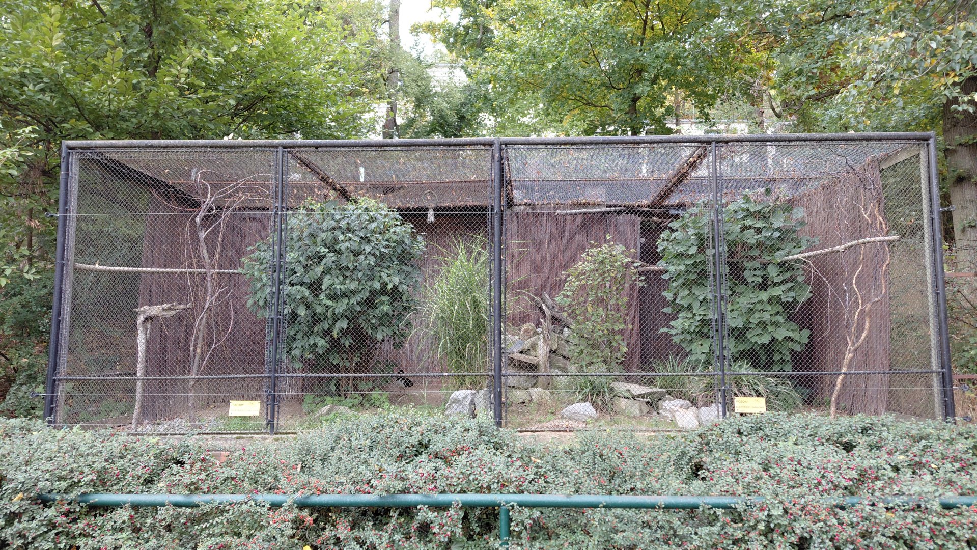 Oystercatcher + roller aviary