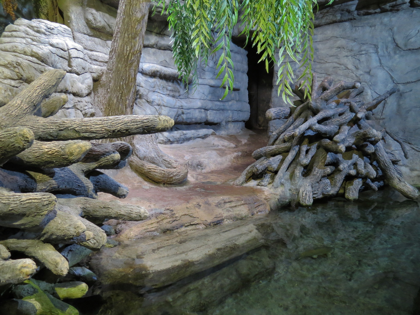 Ozark Stream - American Beaver Exhibit