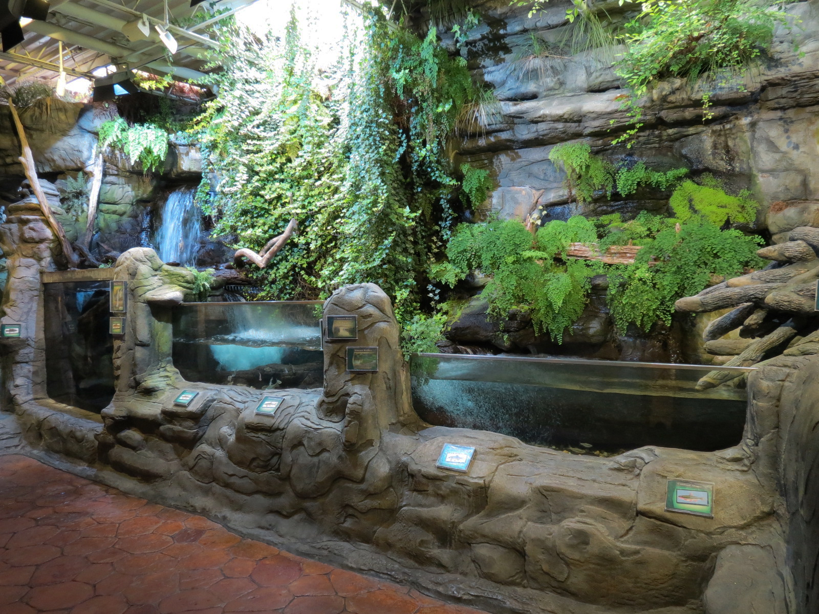 Ozark Stream - Exhibits