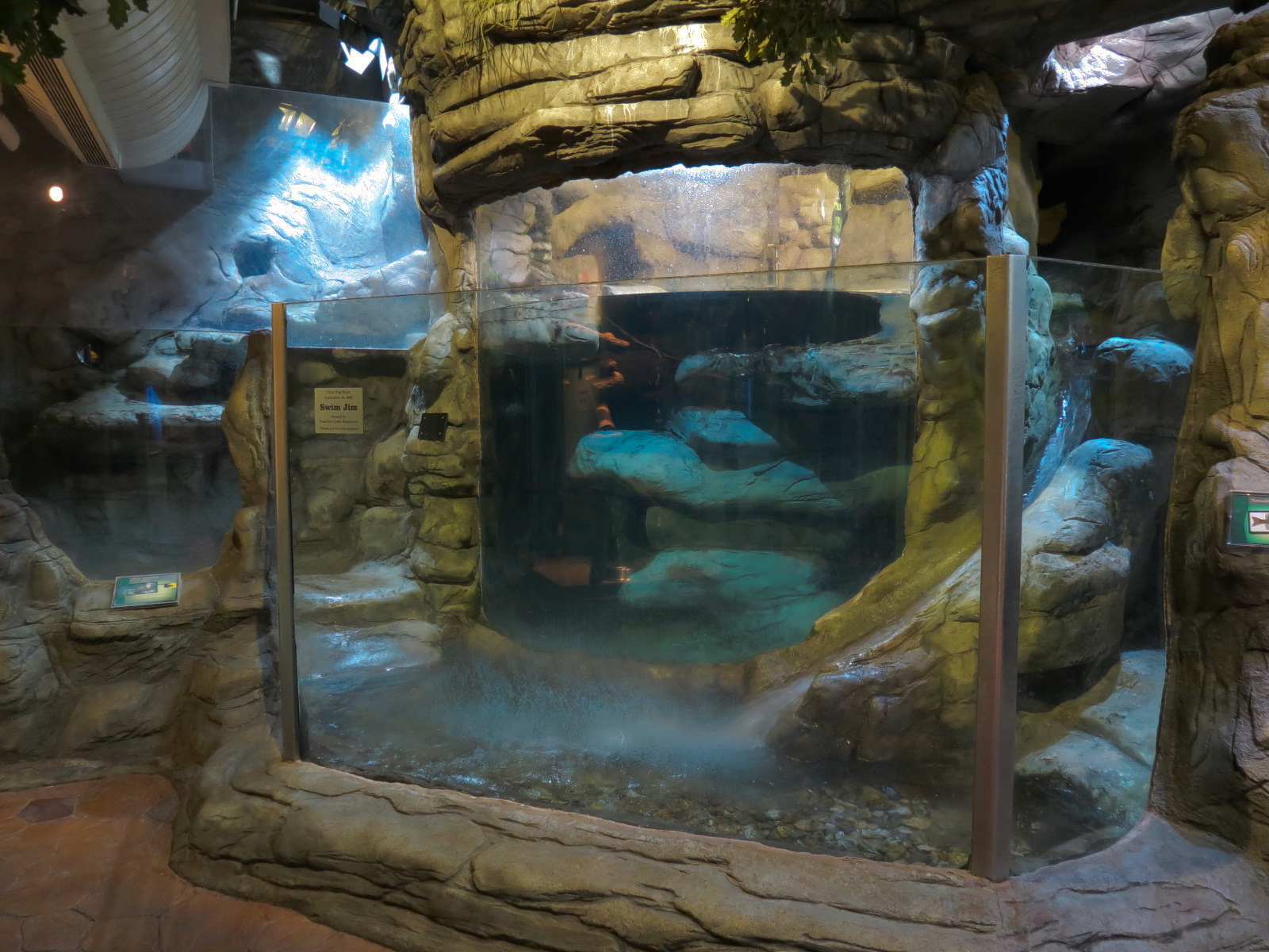 Ozark Stream - North American River Otter Exhibit