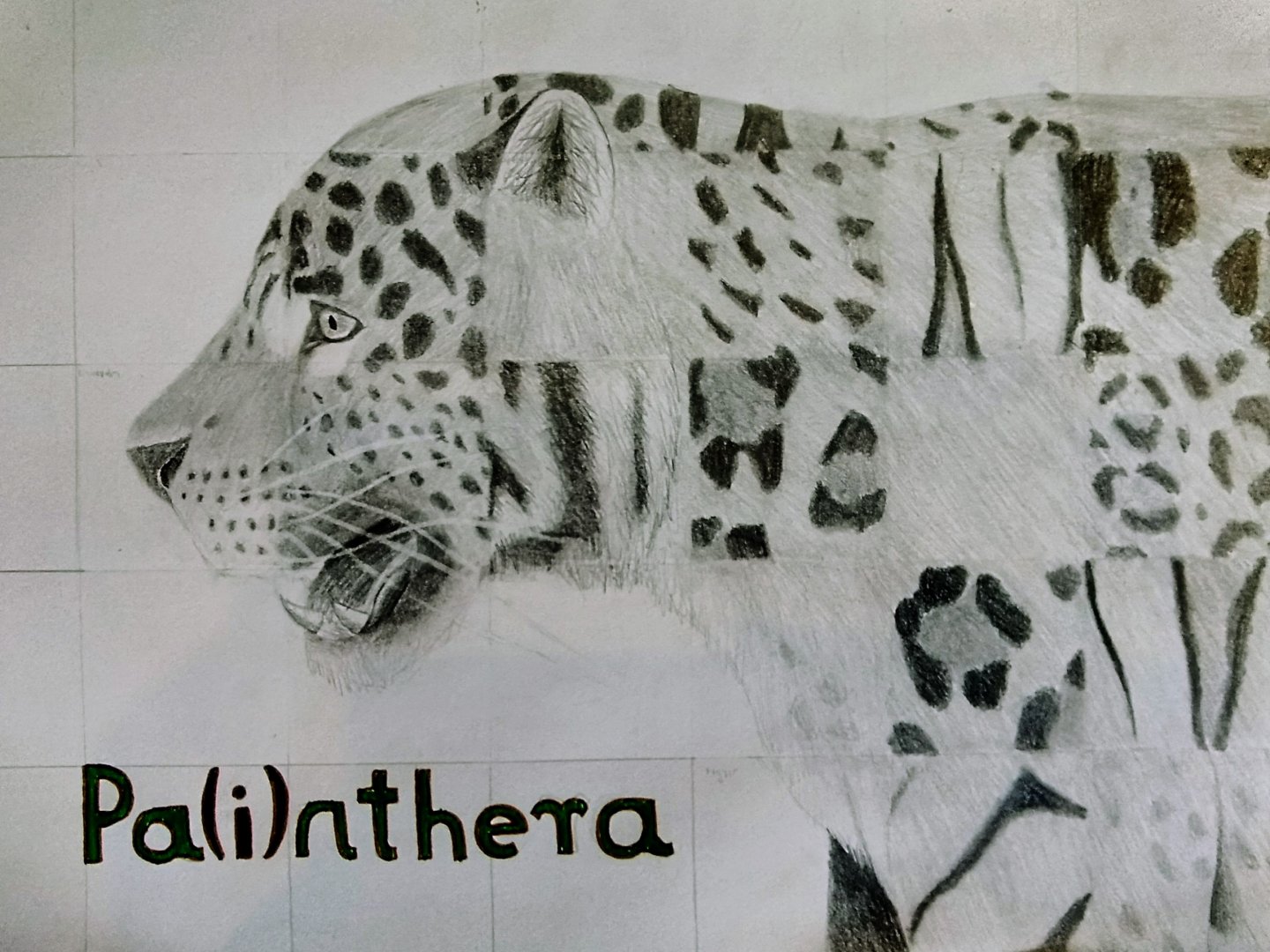 Pa(i)nthera - Finished!