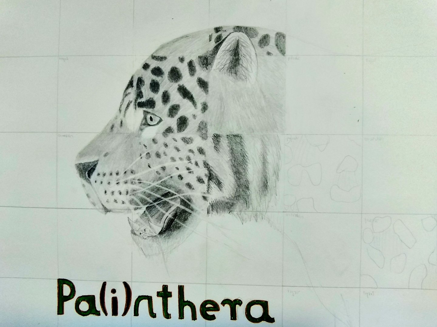 Pa(i)nthera (not finished yet)