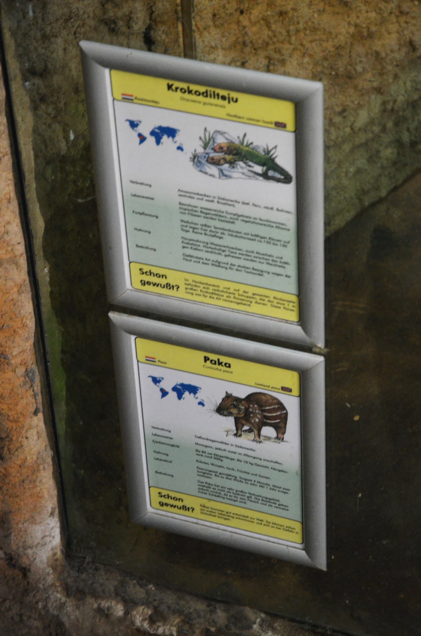 Paca/Caiman Lizard Mixed Exhbit Signage at Duisburg, 17/06/19