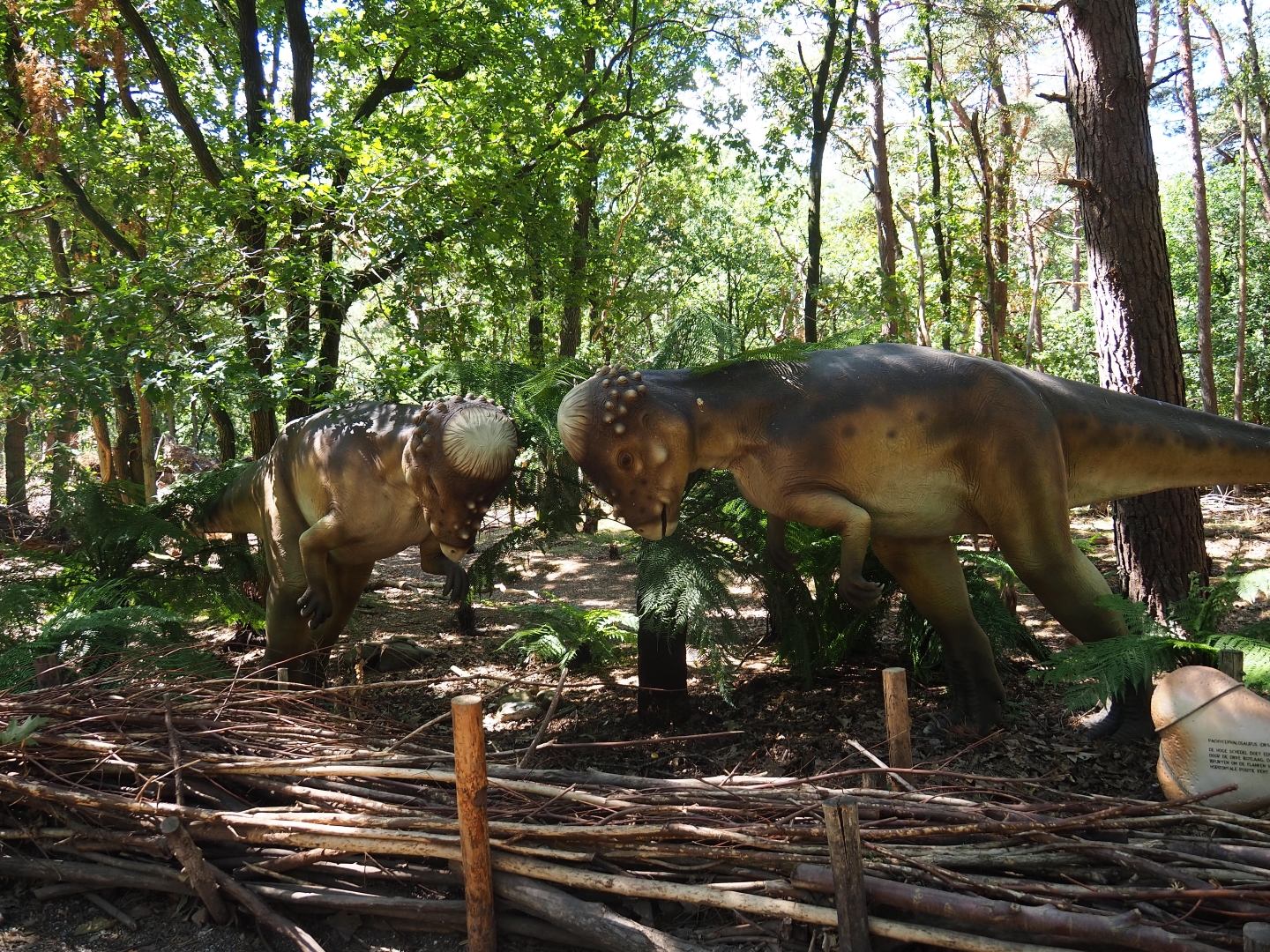 Pachycephalosaurs fight models