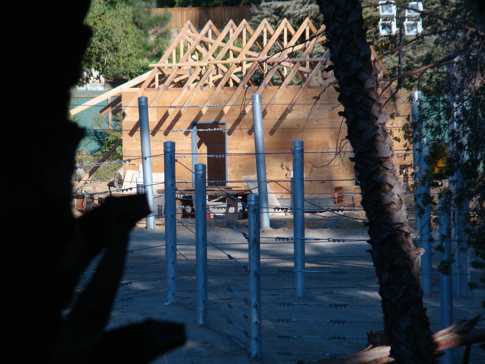 Pachyderm Forest at the Los Angeles Zoo