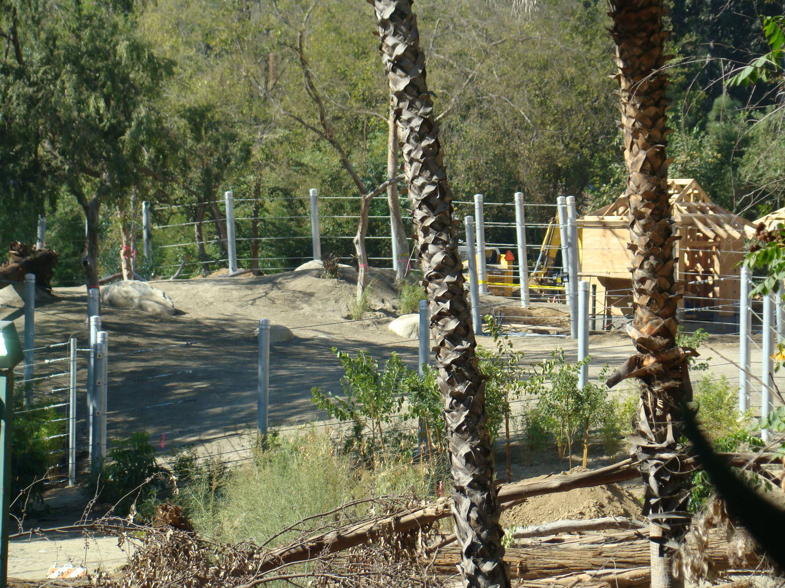Pachyderm Forest at the Los Angeles Zoo
