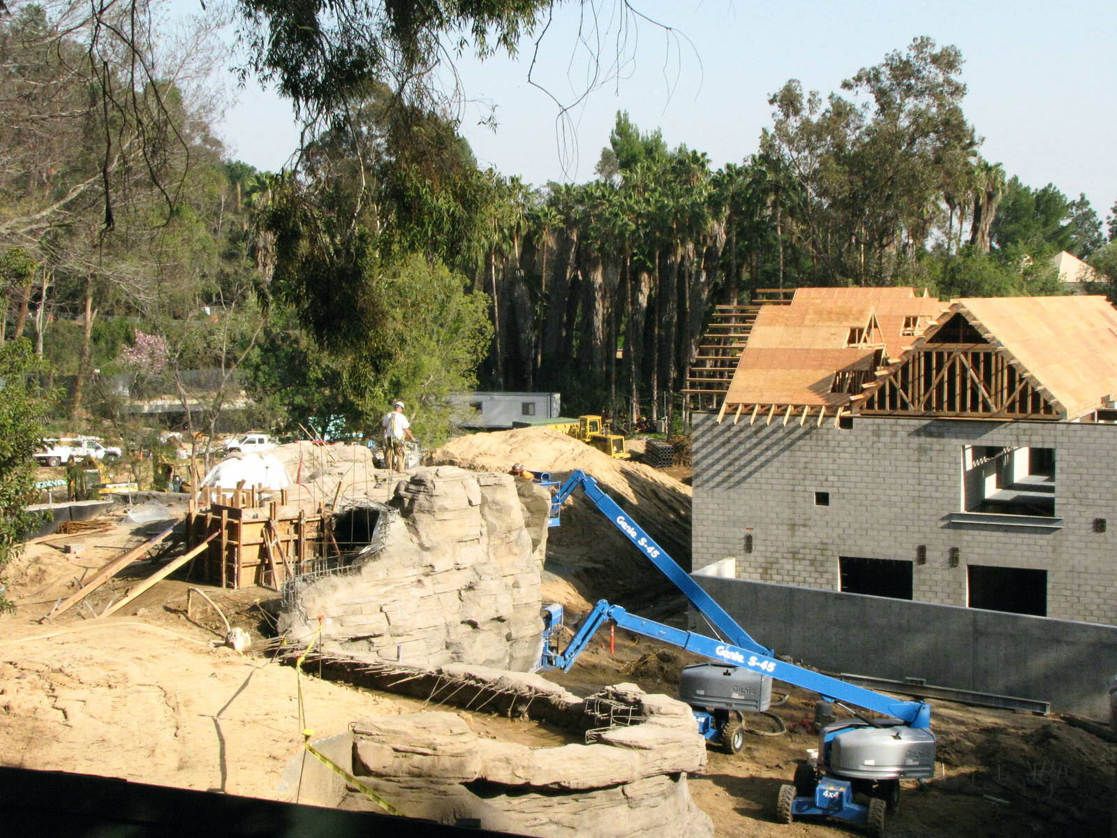 Pachyderm Forest Construction Feb. 12, 2010