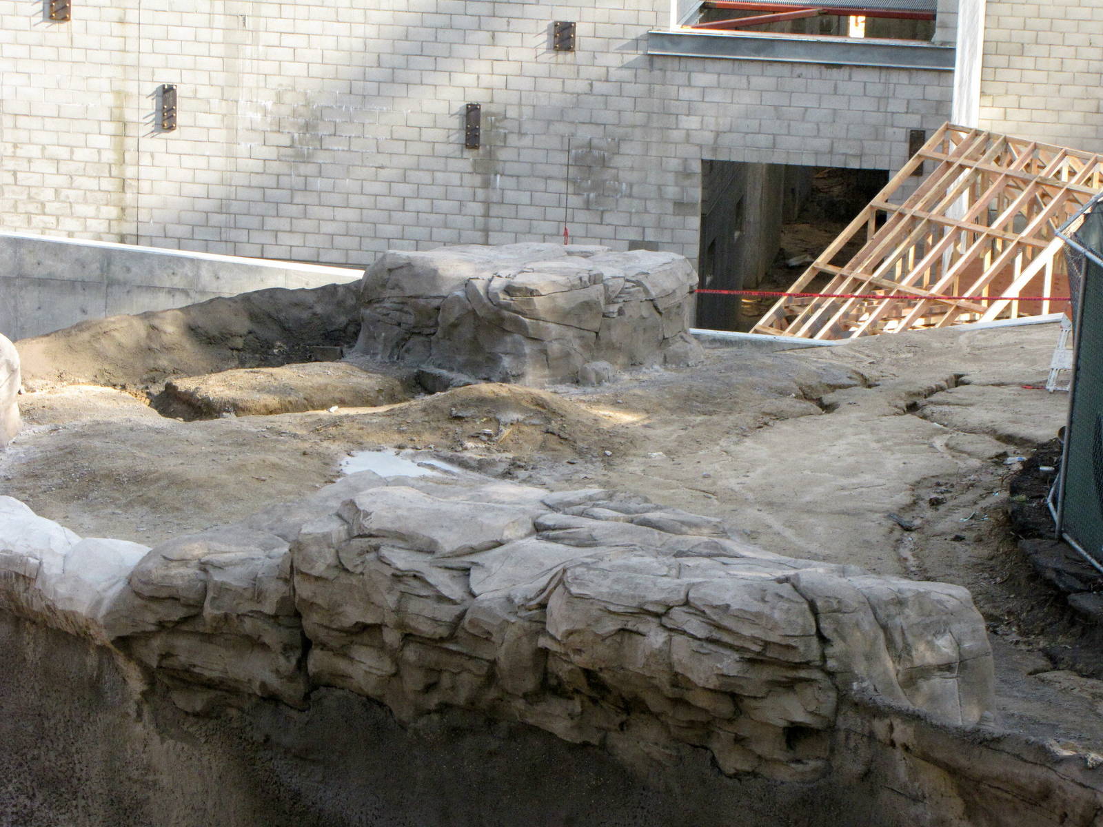 Pachyderm Forest Construction Feb. 12, 2010