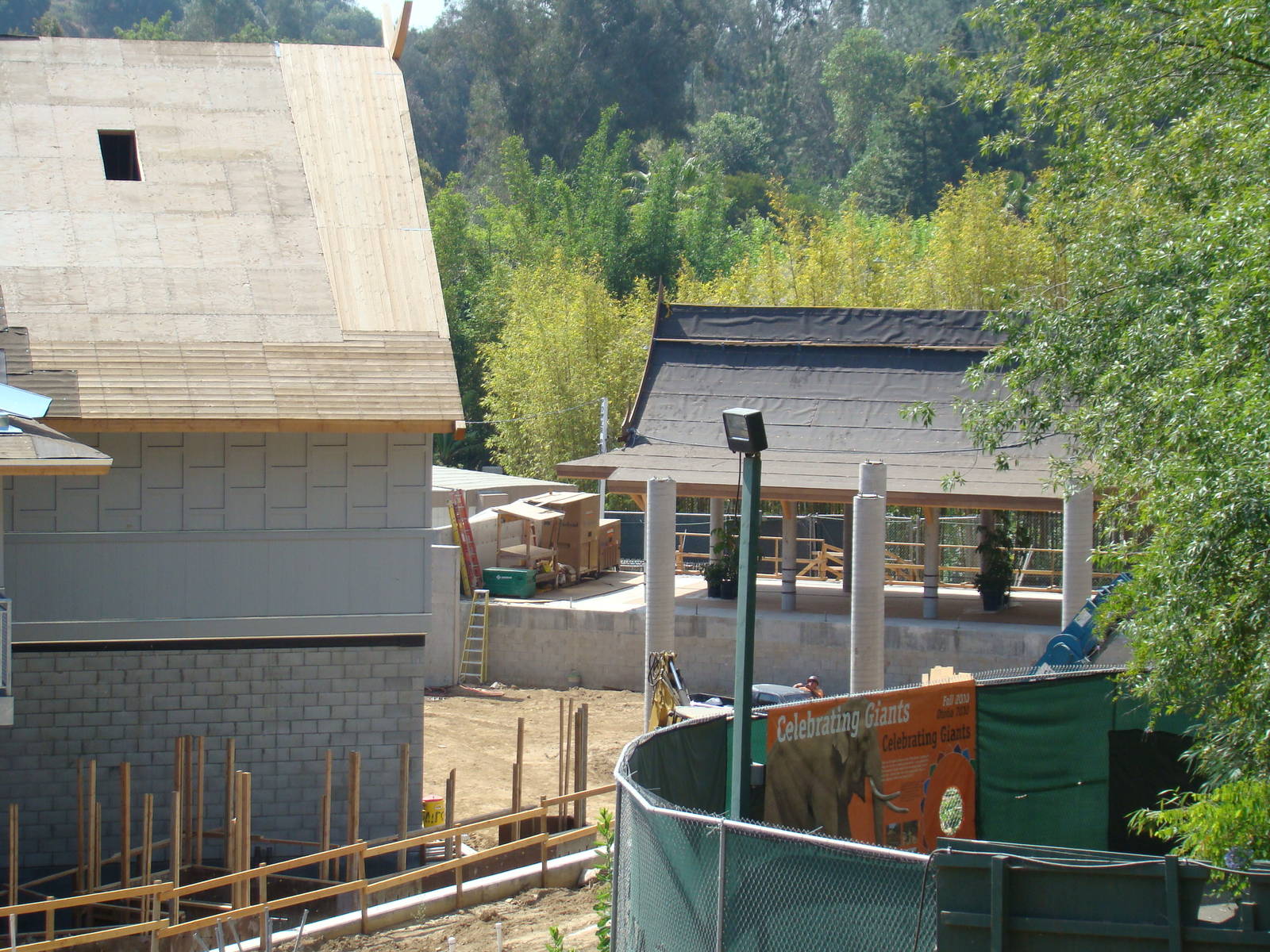 Pachyderm Forest construction update