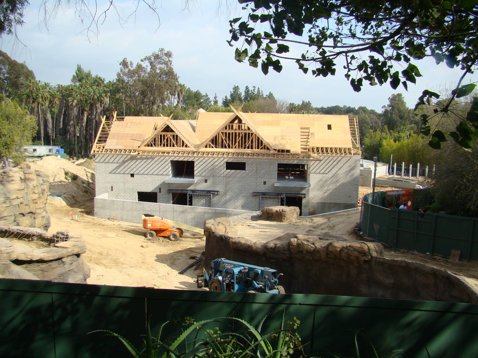 Pachyderm Forest construction update