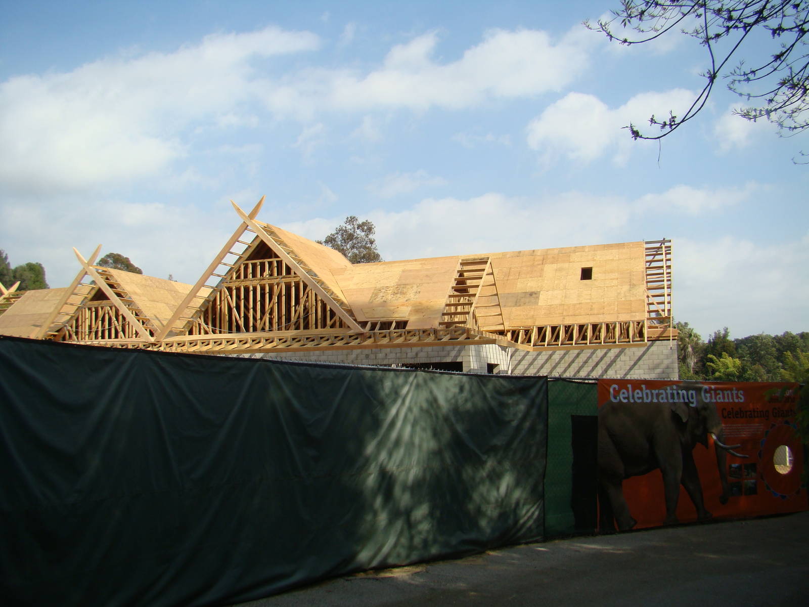 Pachyderm Forest construction update