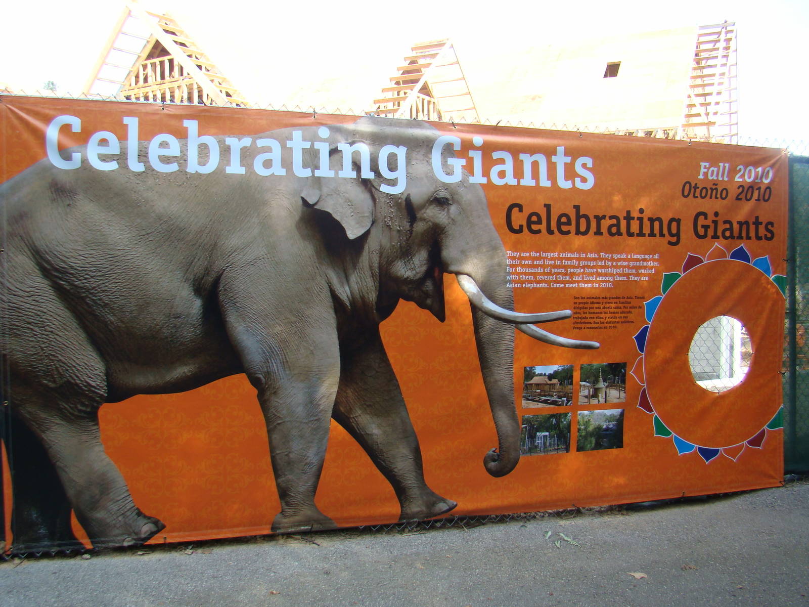 Pachyderm Forest construction update