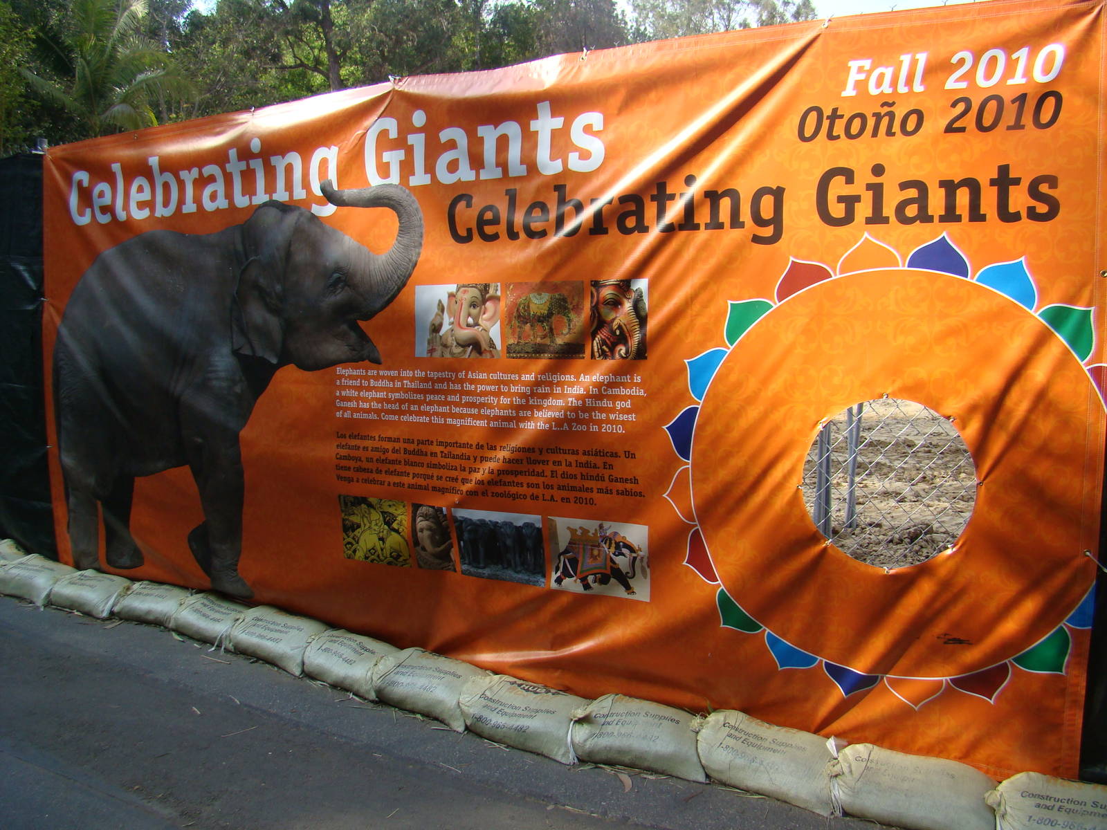 Pachyderm Forest construction update