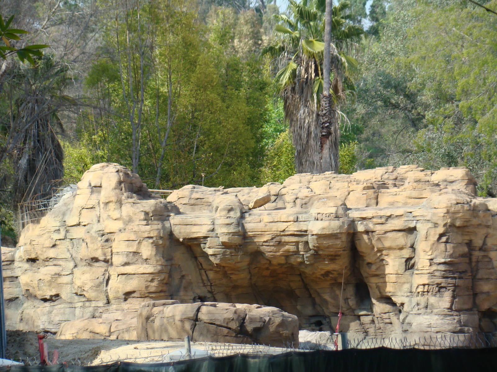 Pachyderm Forest construction update