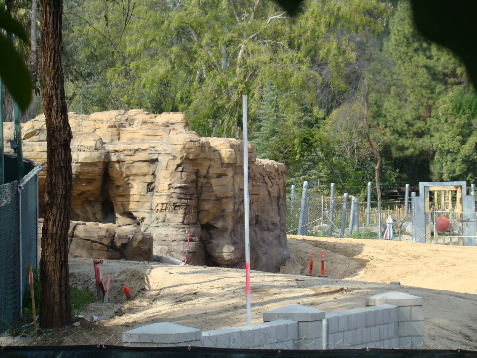 Pachyderm Forest construction update