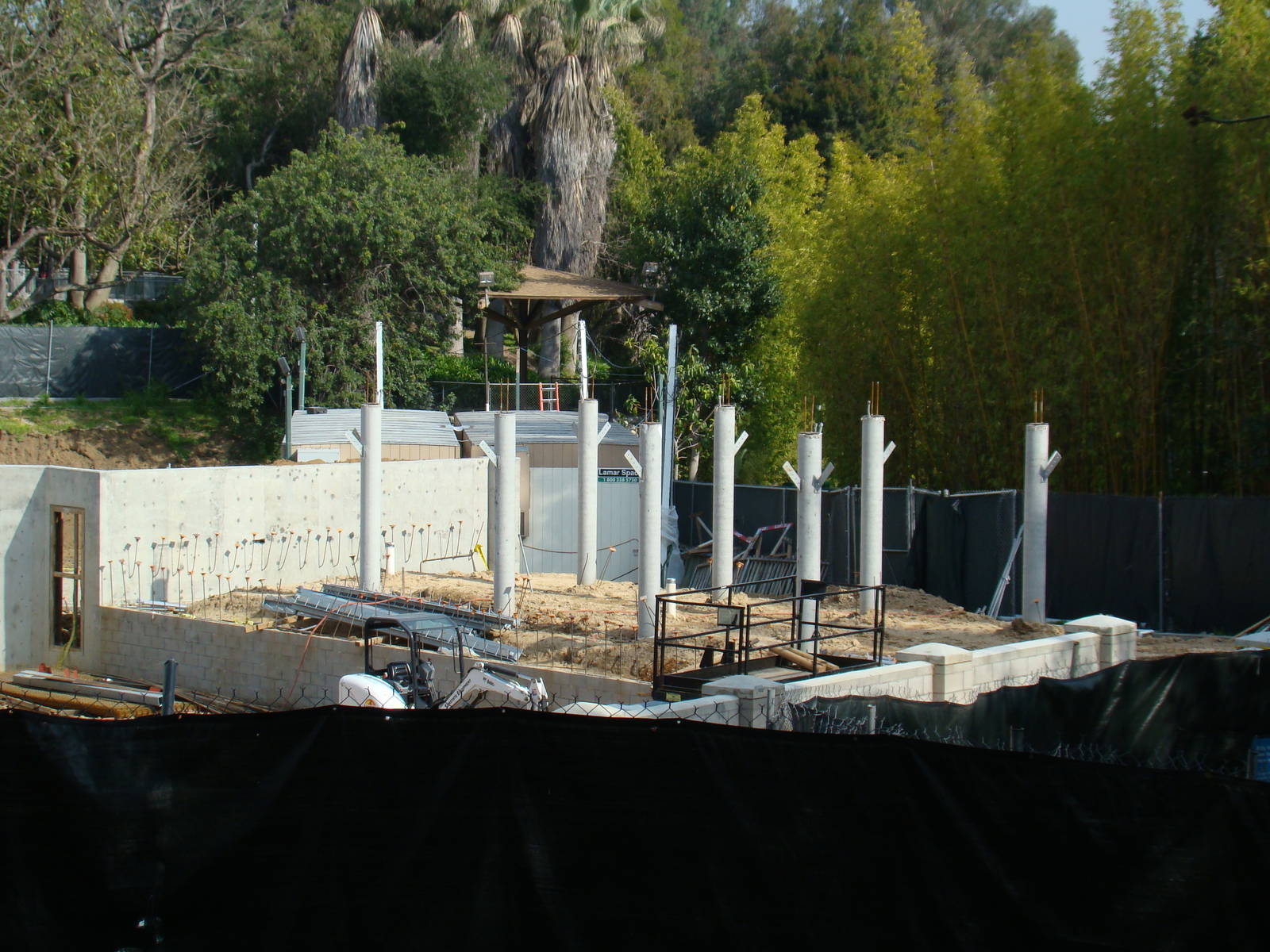 Pachyderm Forest construction update