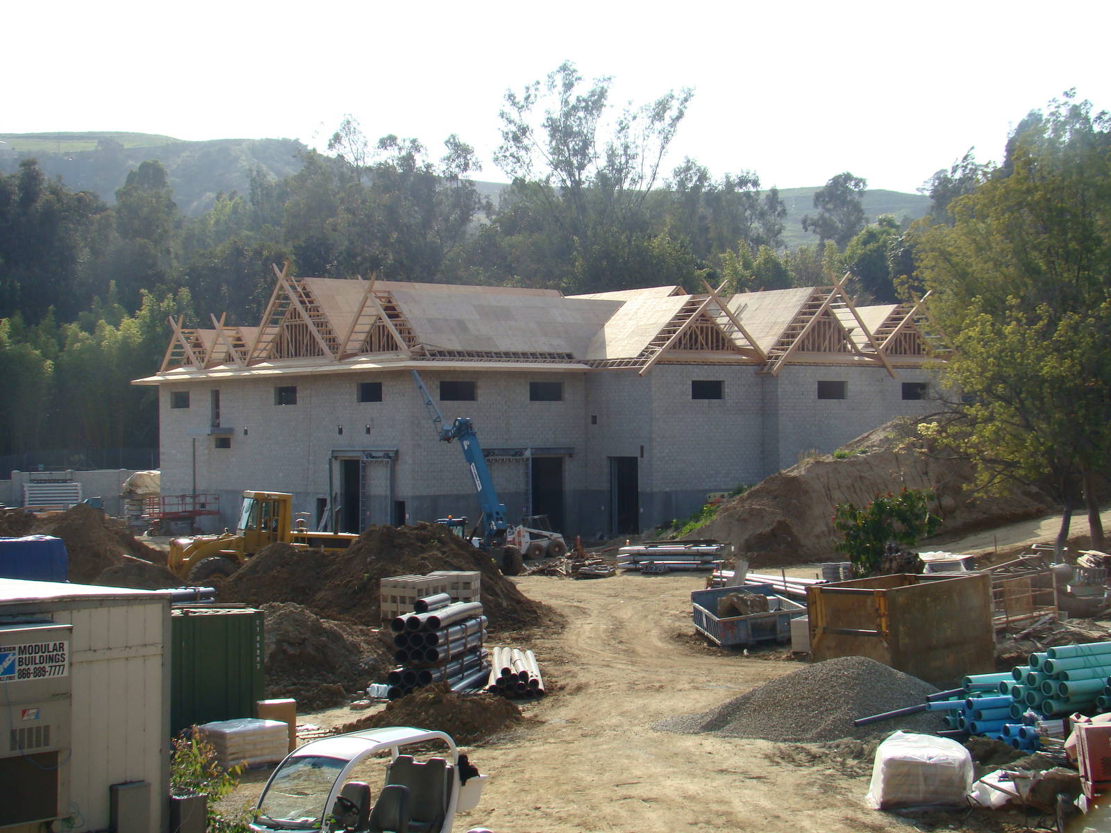 Pachyderm Forest construction update