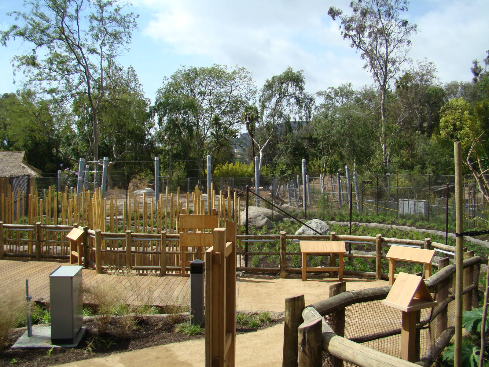 Pachyderm Forest construction