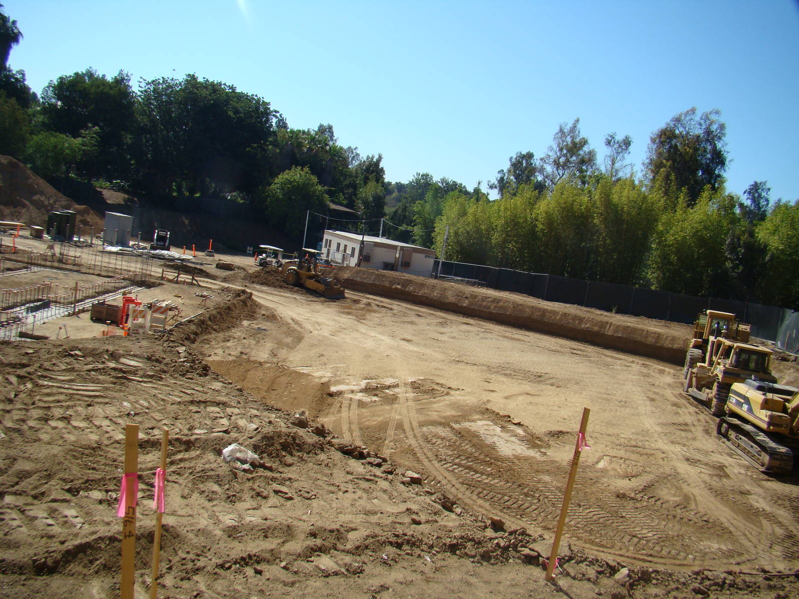 Pachyderm Forest Construction