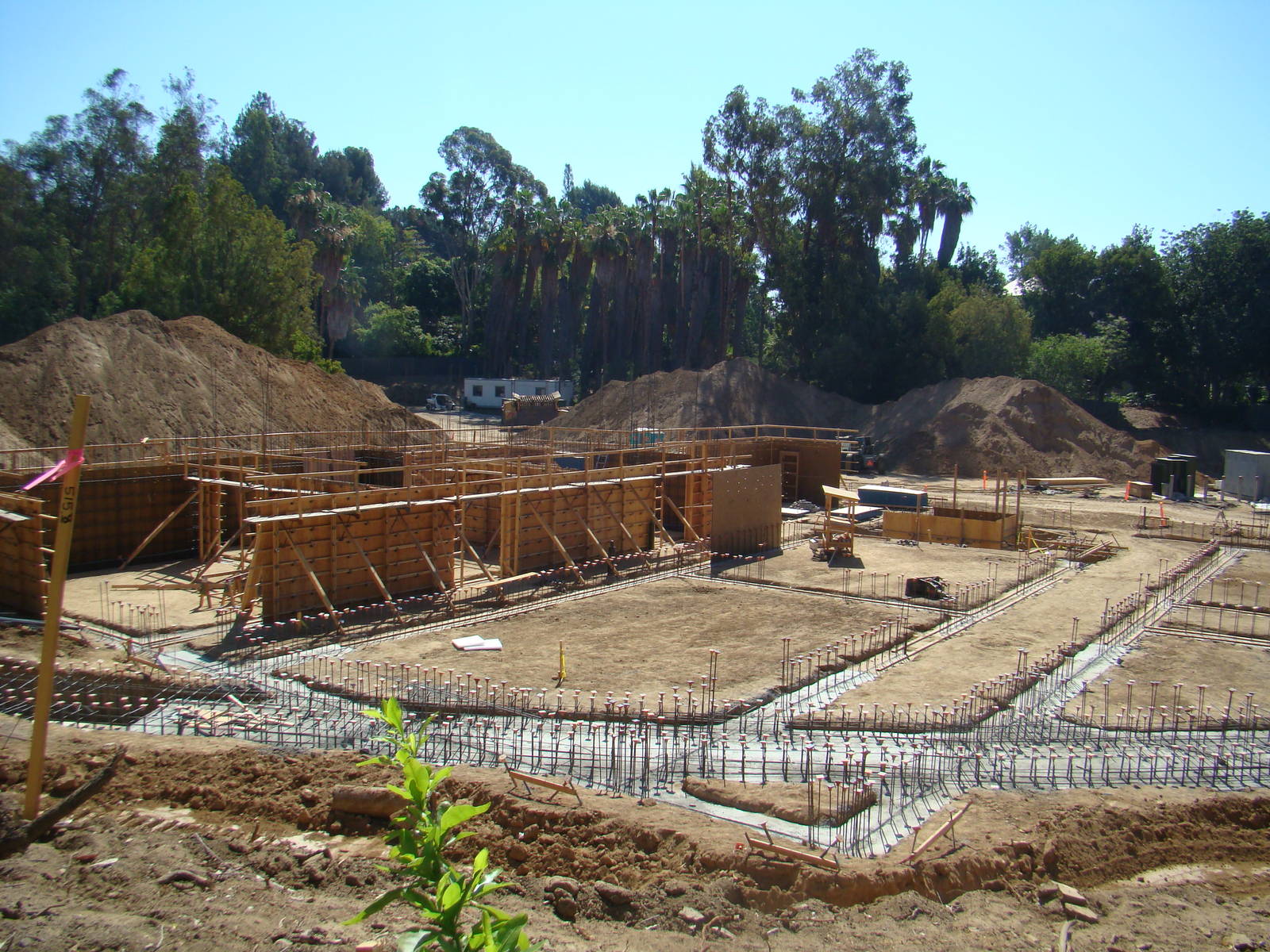 Pachyderm Forest Construction