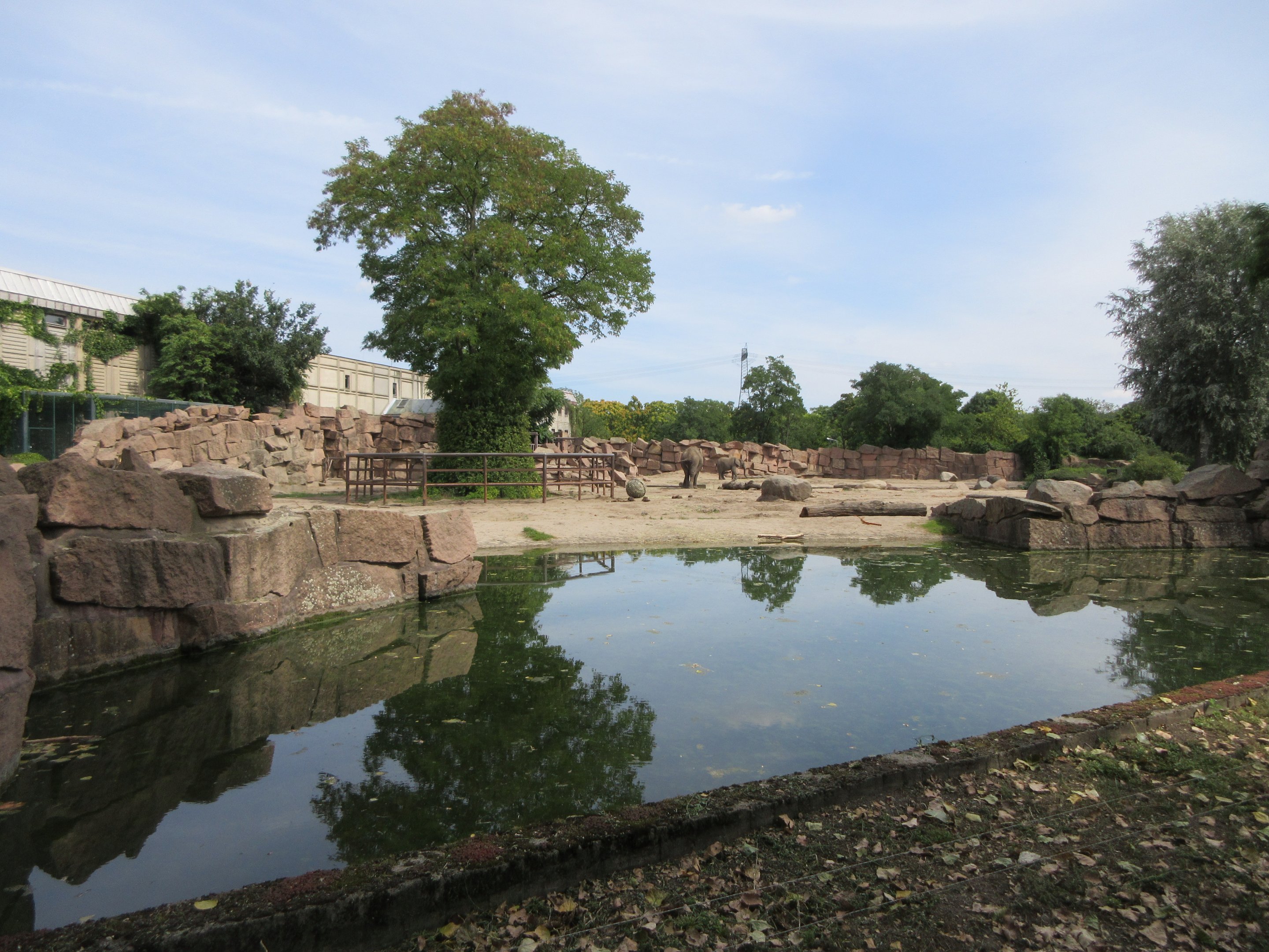 Pachyderm House - African Elephant Exhibit Pool
