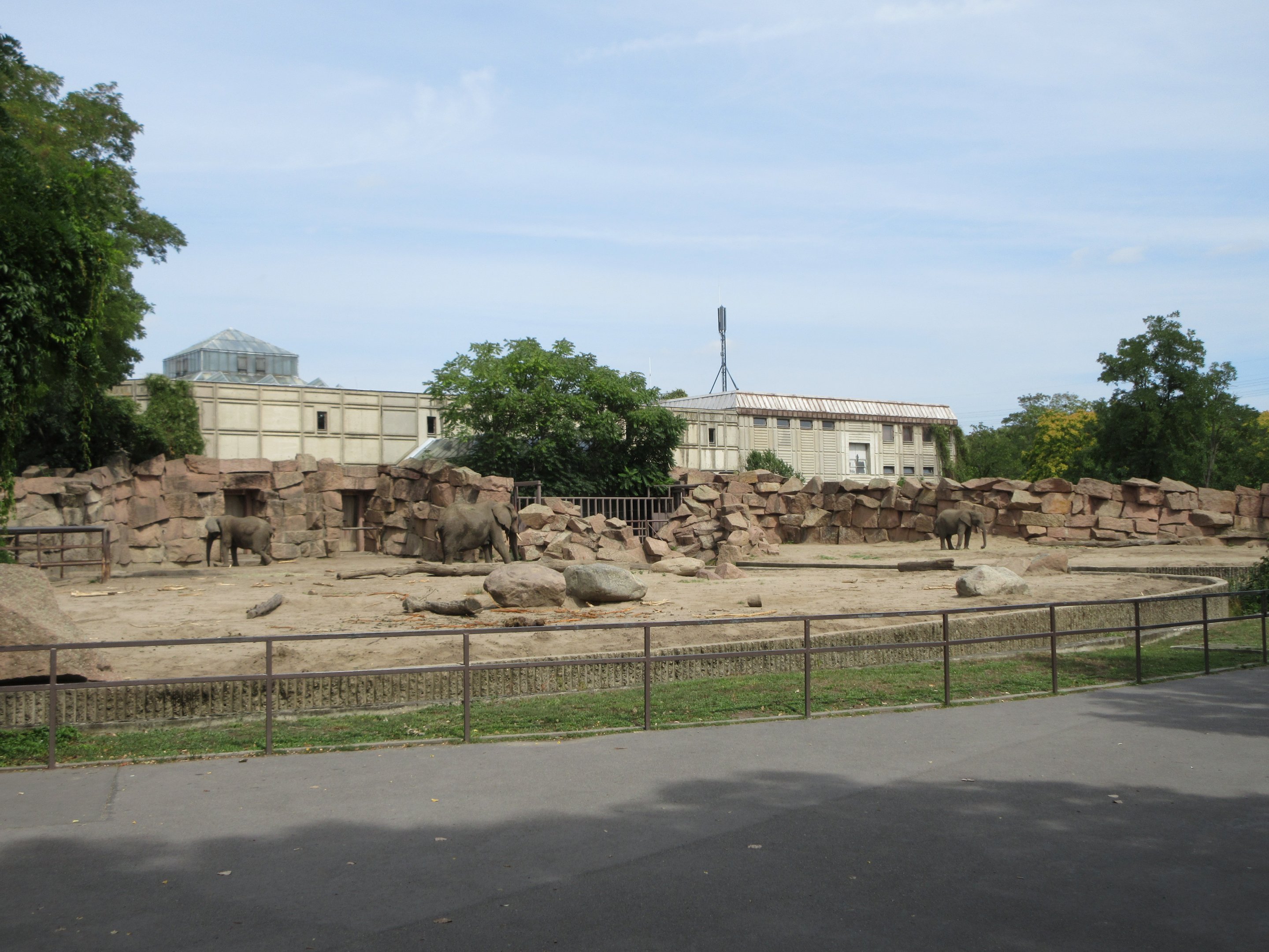 Pachyderm House - African Elephant Exhibits