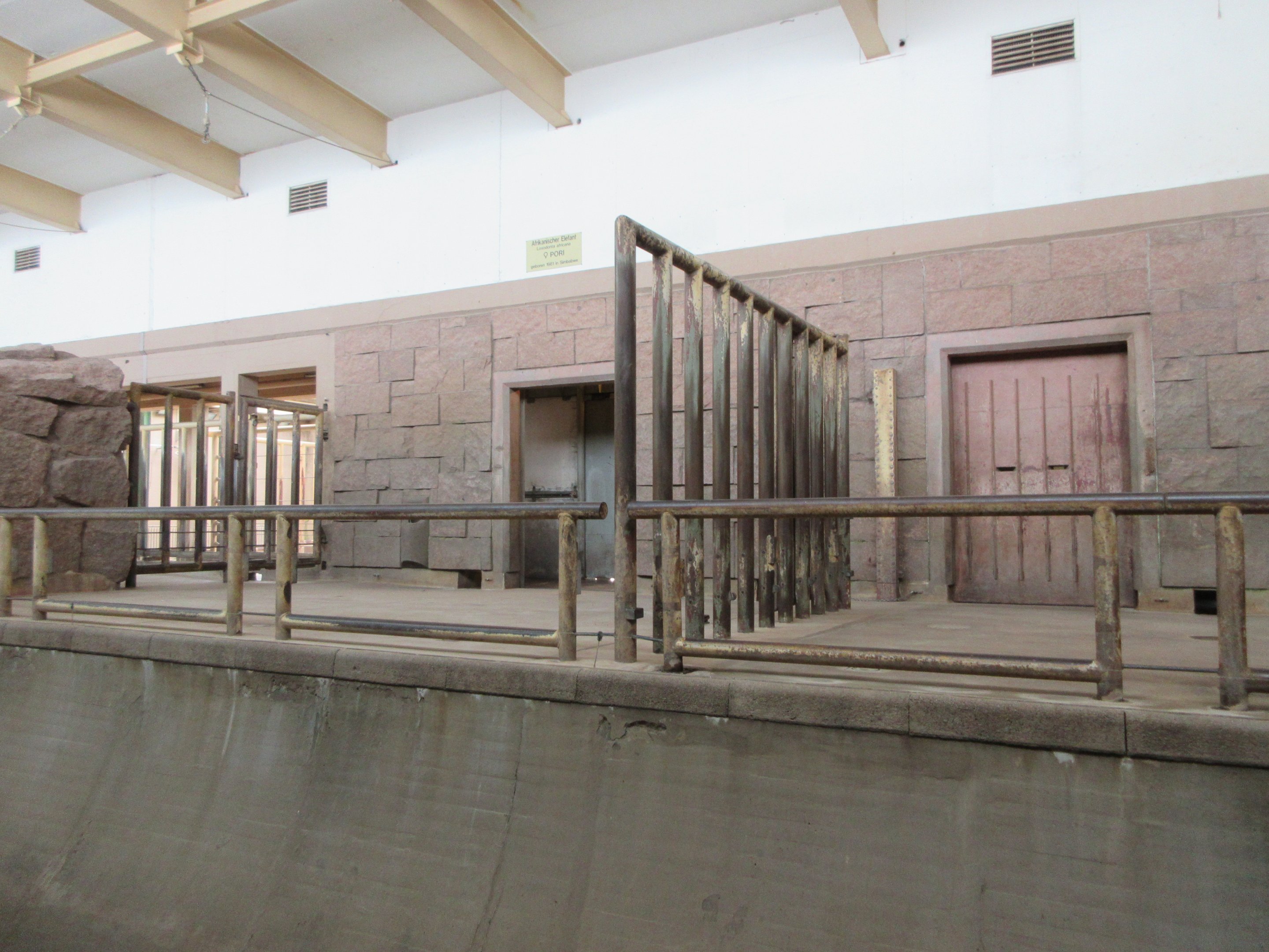 Pachyderm House - African Elephant Indoor Exhibits