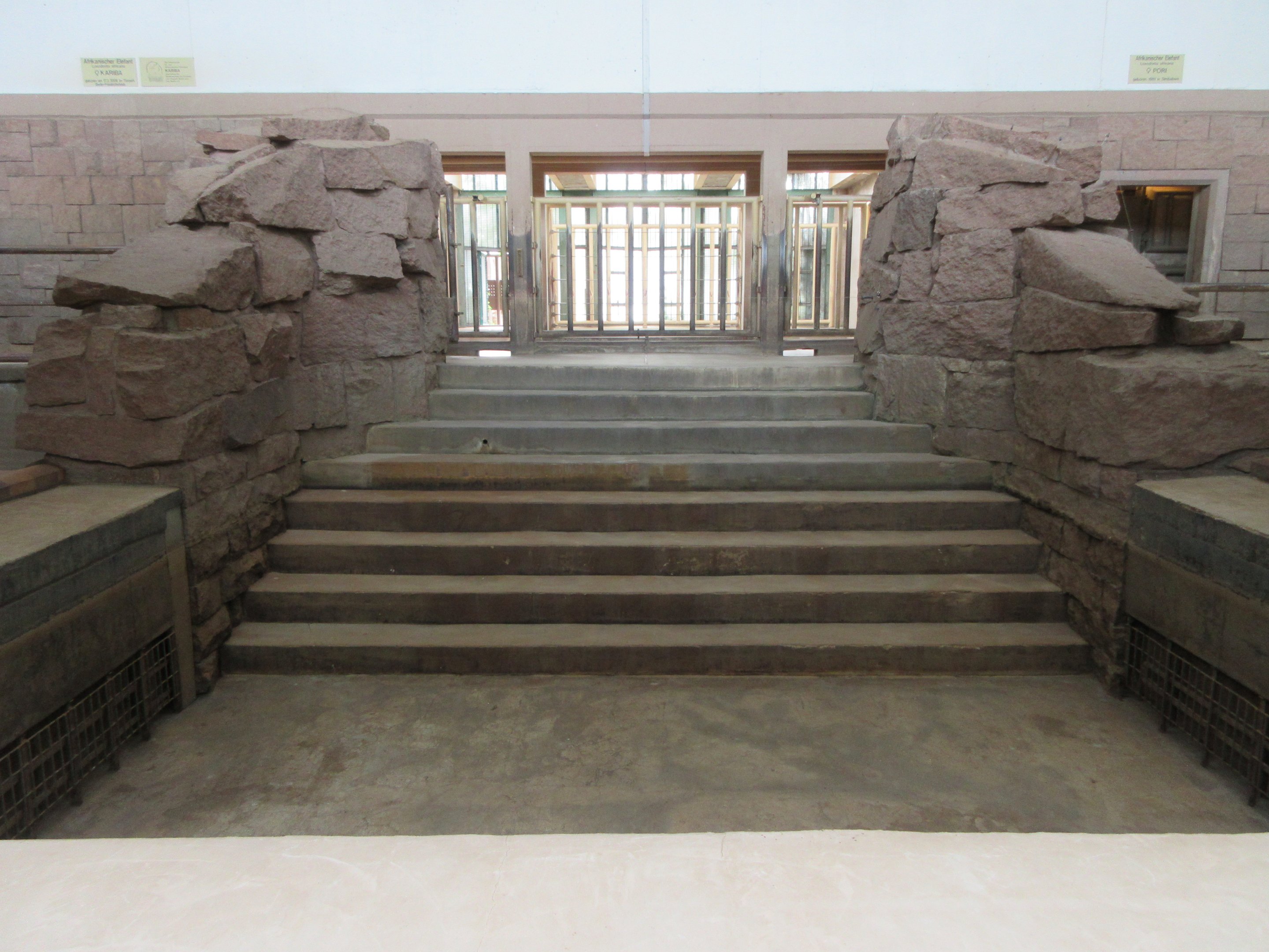 Pachyderm House - African Elephant Indoor Pool