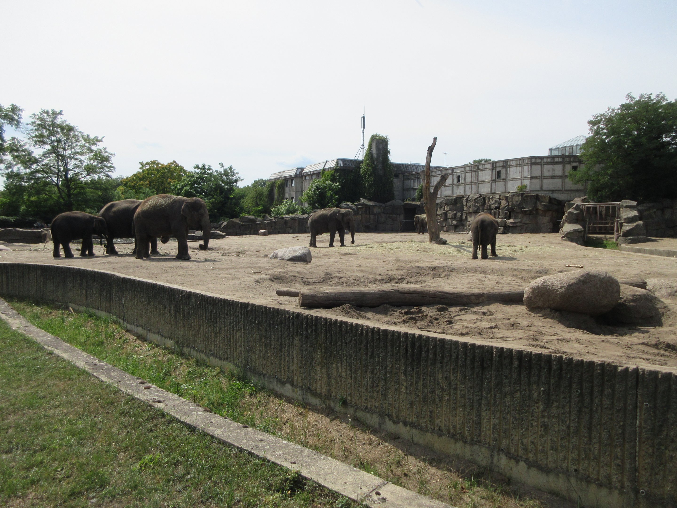 Pachyderm House - Asian Elephant Exhibit