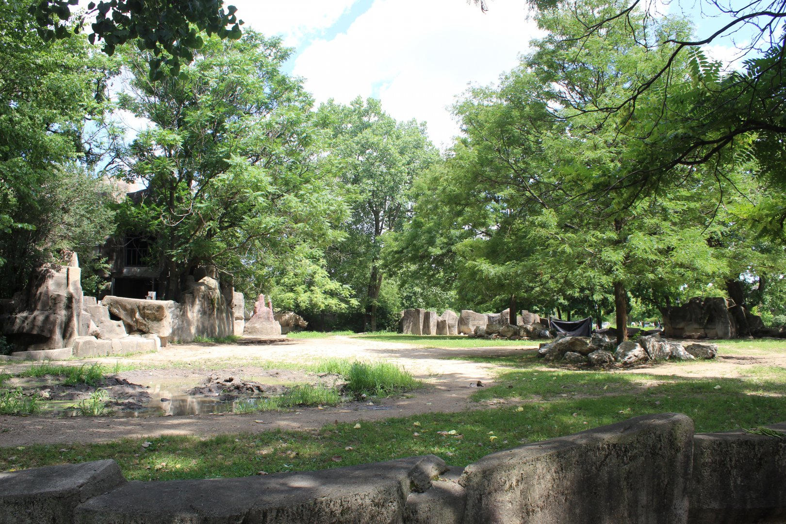 Pachyderm House - Black Rhino Exhibit