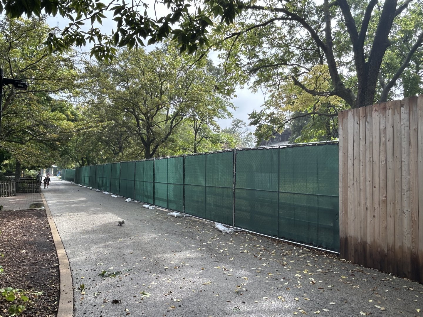 Pachyderm House- construction fence is up on the north side of the building.